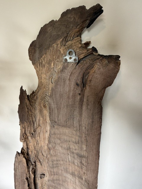 Elephant Herd Tree Trunk Relief view 8