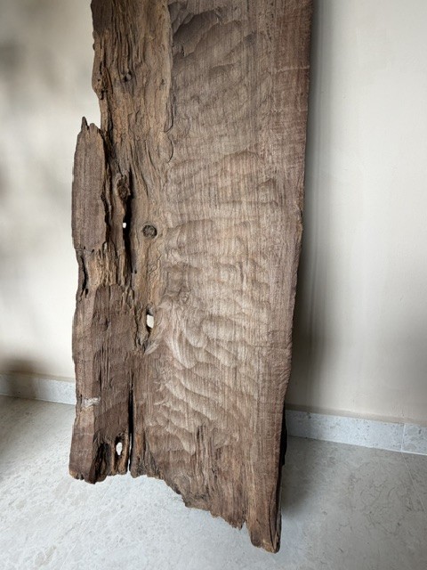 Elephant Herd Tree Trunk Relief view 9